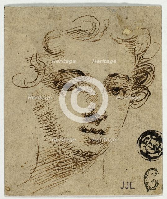 Head of Young Woman, n.d. Creator: Peter Lely.