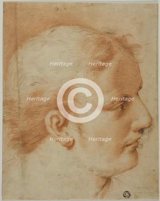 Head of Young Man, in Profile to Right, n.d. Creator: Unknown.