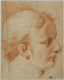 Head of Young Man, in Profile to Right, n.d. Creator: Unknown