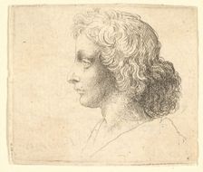 Head of young man with long hair in profile to the left, 1644-52. Creator: Wenceslaus Hollar