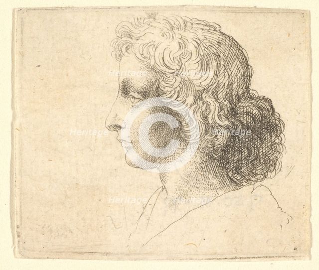 Head of young man with long hair in profile to the left, 1644-52. Creator: Wenceslaus Hollar.