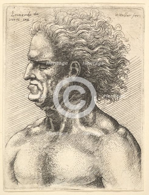 Head of a muscular old man in profile to left with flowing hair, 1625-77. Creator: Wenceslaus Hollar.