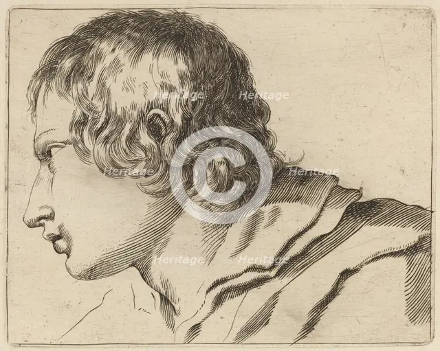 Head of a Man Turned Left. Creator: Stefano della Bella.