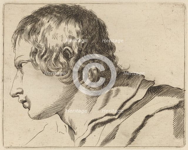 Head of a Man Turned Left. Creator: Stefano della Bella.