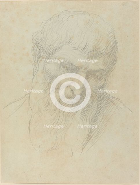 Head of a Man with Curly Hair and Beard. Creator: Alphonse Legros.
