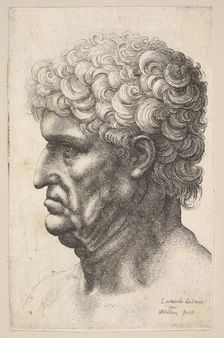 Head of a man with thick curly hair in profile to the left, 1640-49. Creator: Wenceslaus Hollar