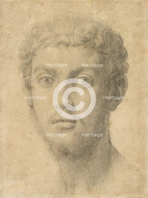Head of a Man, about 1550-1555. Creator: Agnolo Bronzino.