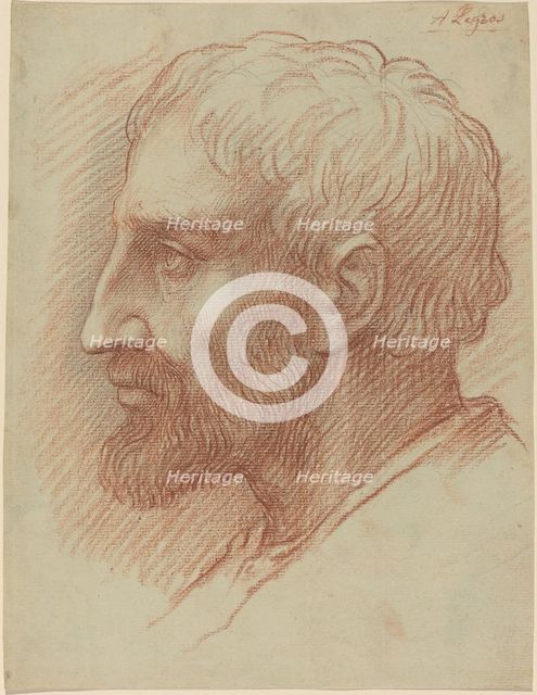 Head of a Man. Creator: Alphonse Legros.