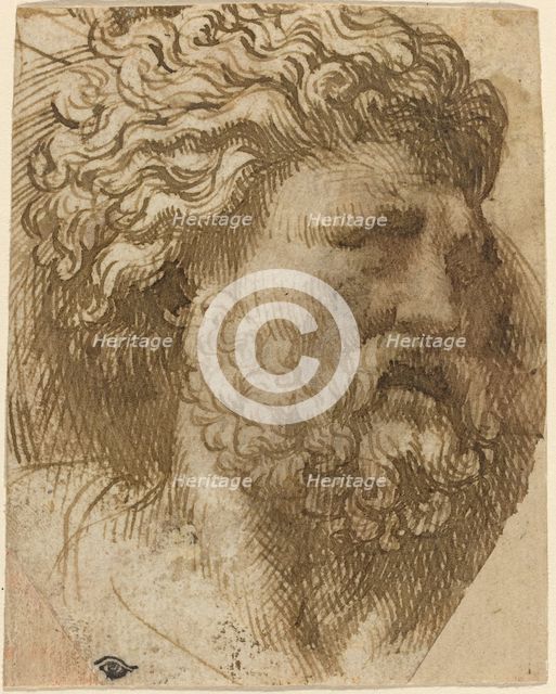 Head of a Man. Creator: Domenico Campagnola.