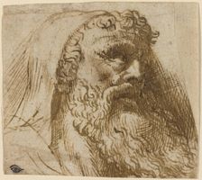 Head of a Man. Creator: Domenico Campagnola