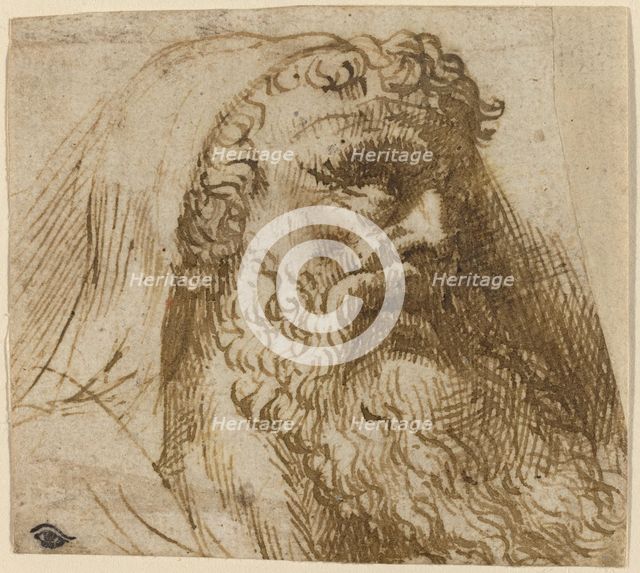 Head of a Man. Creator: Domenico Campagnola.