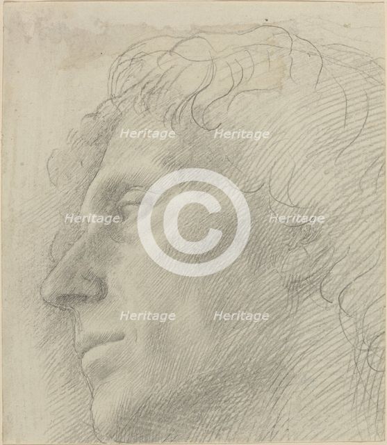 Head of a Man Facing Left. Creator: Alphonse Legros.