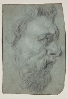 Head of a Man Facing Right, between 17th and 18th century. Creator: Unknown