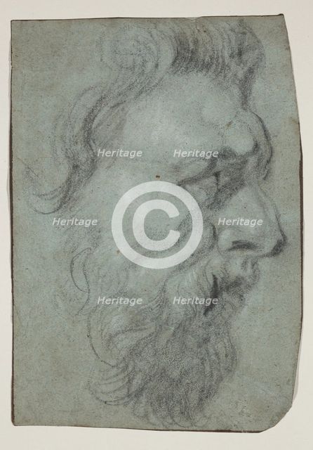 Head of a Man Facing Right, between 17th and 18th century. Creator: Unknown.