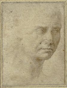 Head of a Man in Three-quarters Profile, n.d. Creator: Unknown
