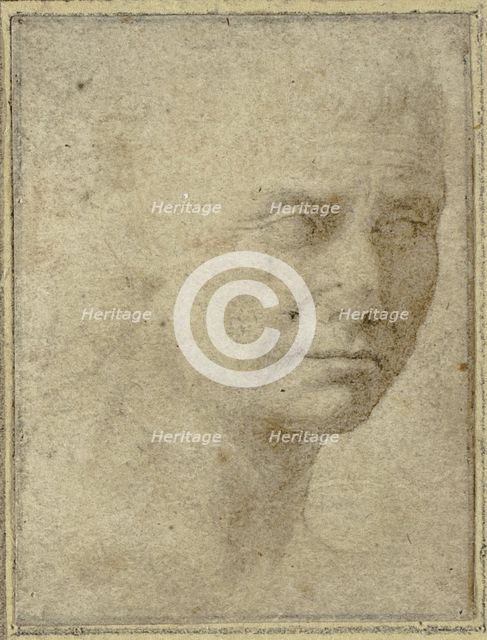 Head of a Man in Three-quarters Profile, n.d. Creator: Unknown.