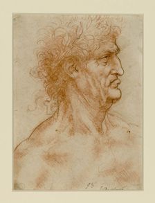 Head Of A Man In Profile Crowned With Laurel