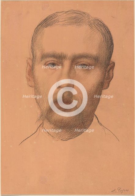 Head of a Man (Possible Portrait of Professor E.D. Adams). Creator: Alphonse Legros.