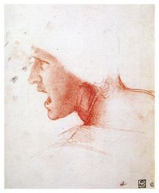 Head of a man shouting in profile to the left 1503-1504. Artist: Leonardo da Vinci