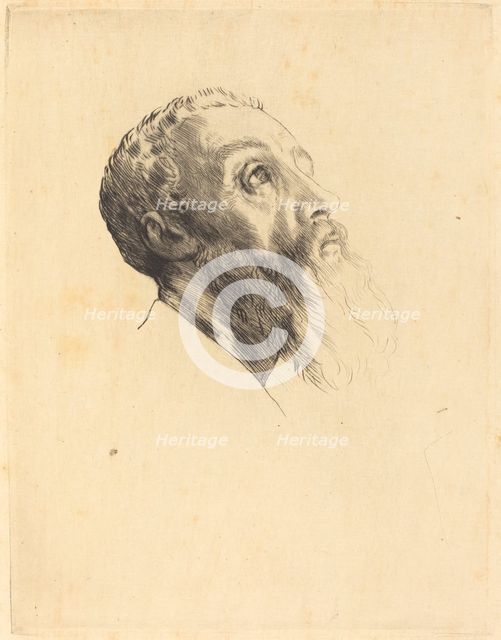 Head of a Model (Tete de modele). Creator: Alphonse Legros.