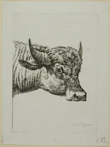 Head of a Buffalo, from Die Zweite Thierfolge, 1800. Creator: Johann Christian Reinhart