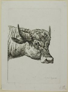 Head of a Buffalo, from Die Zweite Thierfolge, 1800. Creator: Johann Christian Reinhart