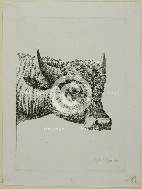 Head of a Buffalo, from Die Zweite Thierfolge, 1800. Creator: Johann Christian Reinhart.