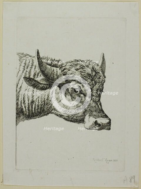 Head of a Buffalo, from Die Zweite Thierfolge, 1800. Creator: Johann Christian Reinhart.