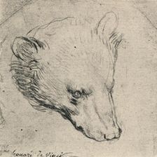 Head of a Bear c1480 (1945). Artist: Leonardo da Vinci