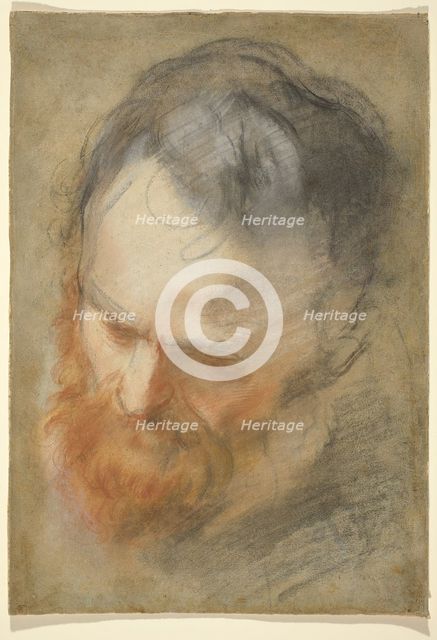 Head of a Bearded Man, 1579/1582. Creator: Federico Barocci.