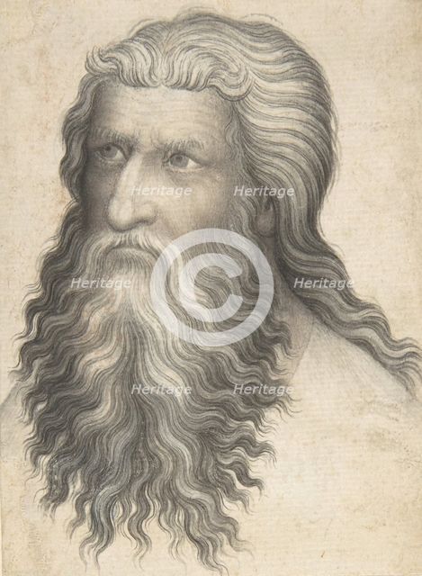 Head of a Bearded Man, 1360-80. Creator: Anon.