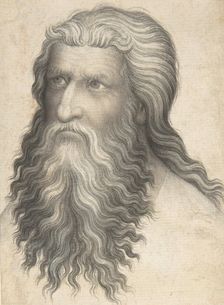 Head of a Bearded Man, 1360-80. Creator: Anon