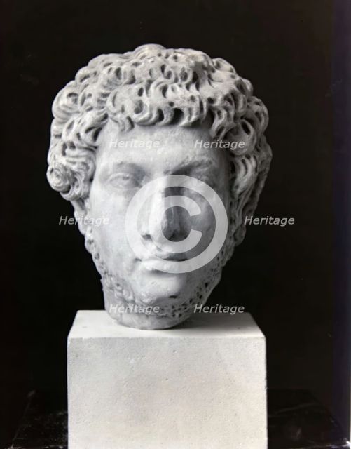 Head of a Bearded Man, between 146 and 211 CE. Creator: Unknown.