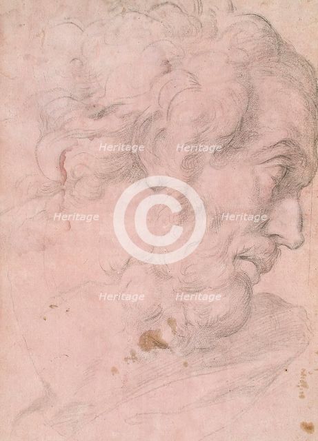 Head of A Bearded Man, between 1596 and 1641. Creator: Giovanni Angelo Canini.