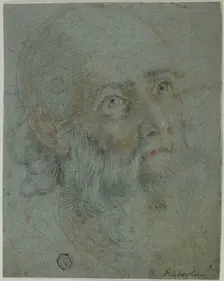 Head of a Bearded Man, Looking Up to Right: Study for Saint Catherine of Alexandria..., c.1603. Creator: Ludovico Cardi