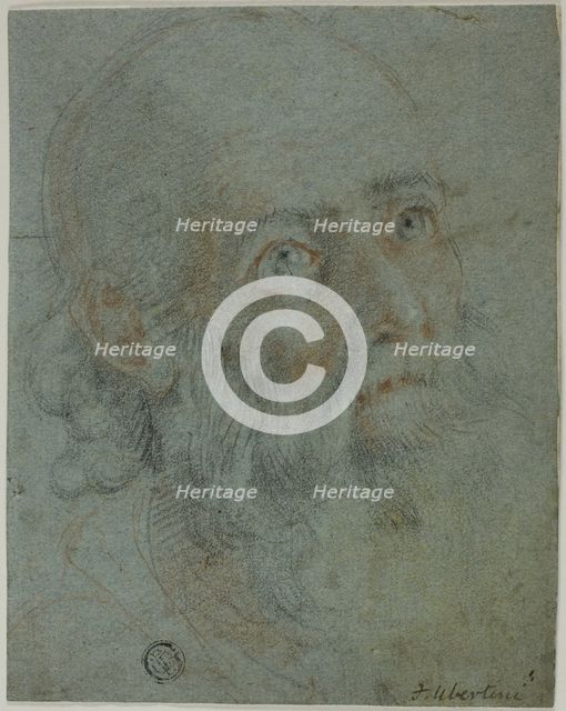 Head of a Bearded Man, Looking Up to Right: Study for Saint Catherine of Alexandria..., c.1603. Creator: Ludovico Cardi.