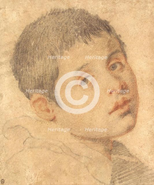 Head of a Boy.