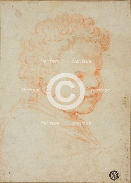Head of a Child, 1550/59. Creator: Unknown.