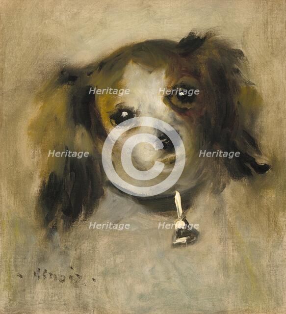 Head of a Dog, 1870. Creator: Pierre-Auguste Renoir.