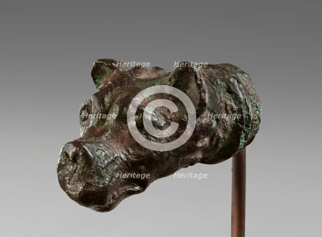 Head of a Dog, 1st-2nd century A.D. Creator: Unknown.