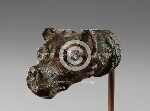 Head of a Dog, 1st-2nd century A.D. Creator: Unknown.