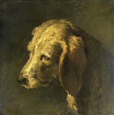 Head of a Dog, c.1820-c.1845. Creator: Nicolas-Toussaint Charlet