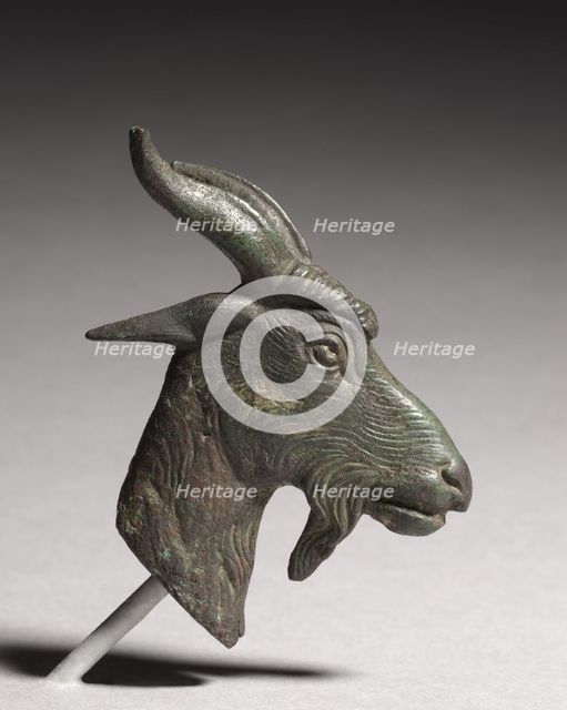 Head of a Goat, 300-100 BC. Creator: Unknown.