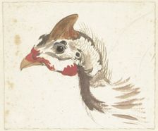 Head of a Helmeted Guineafowl, 1720-1792. Creator: Aert Schouman
