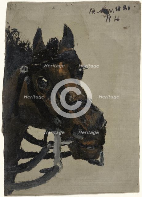 Head of a horse, 1881.  Creator: Richard Roland Holst.