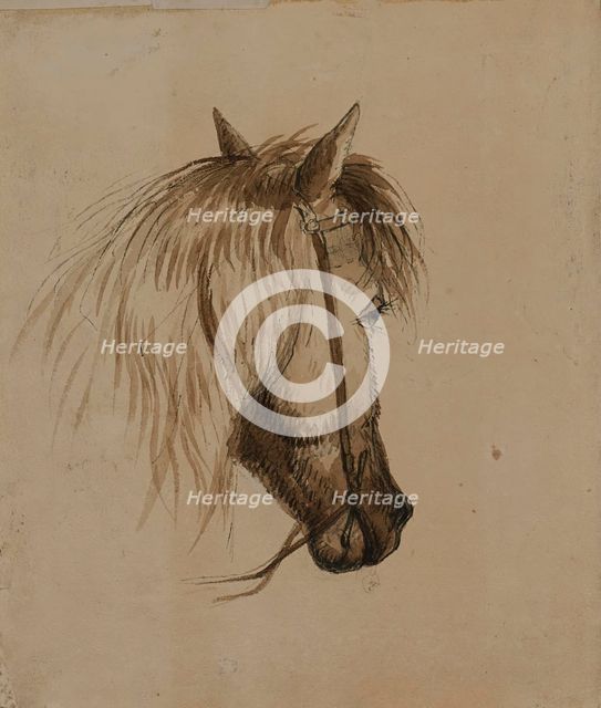 Head of a Horse, mid 19th century. Creator: Alfred Jacob Miller.