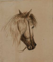 Head of a Horse, mid 19th century. Creator: Alfred Jacob Miller