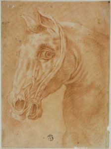 Head of a Horse, n.d. Creator: Unknown