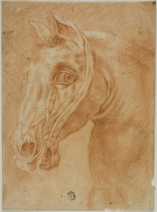 Head of a Horse, n.d. Creator: Unknown
