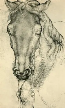 Head of a horse, c1420-1455, (1943). Creator: Pisanello